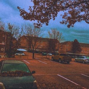 Meet your Posher, Ashton